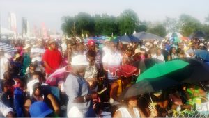 Thousands of jerk festival patrons thronged Roy Wilkins Park in Queens, New York